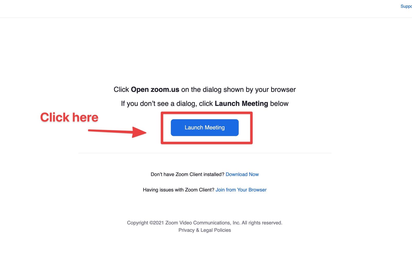 Click on the "Launch Meeting" button to enter the Zoom session