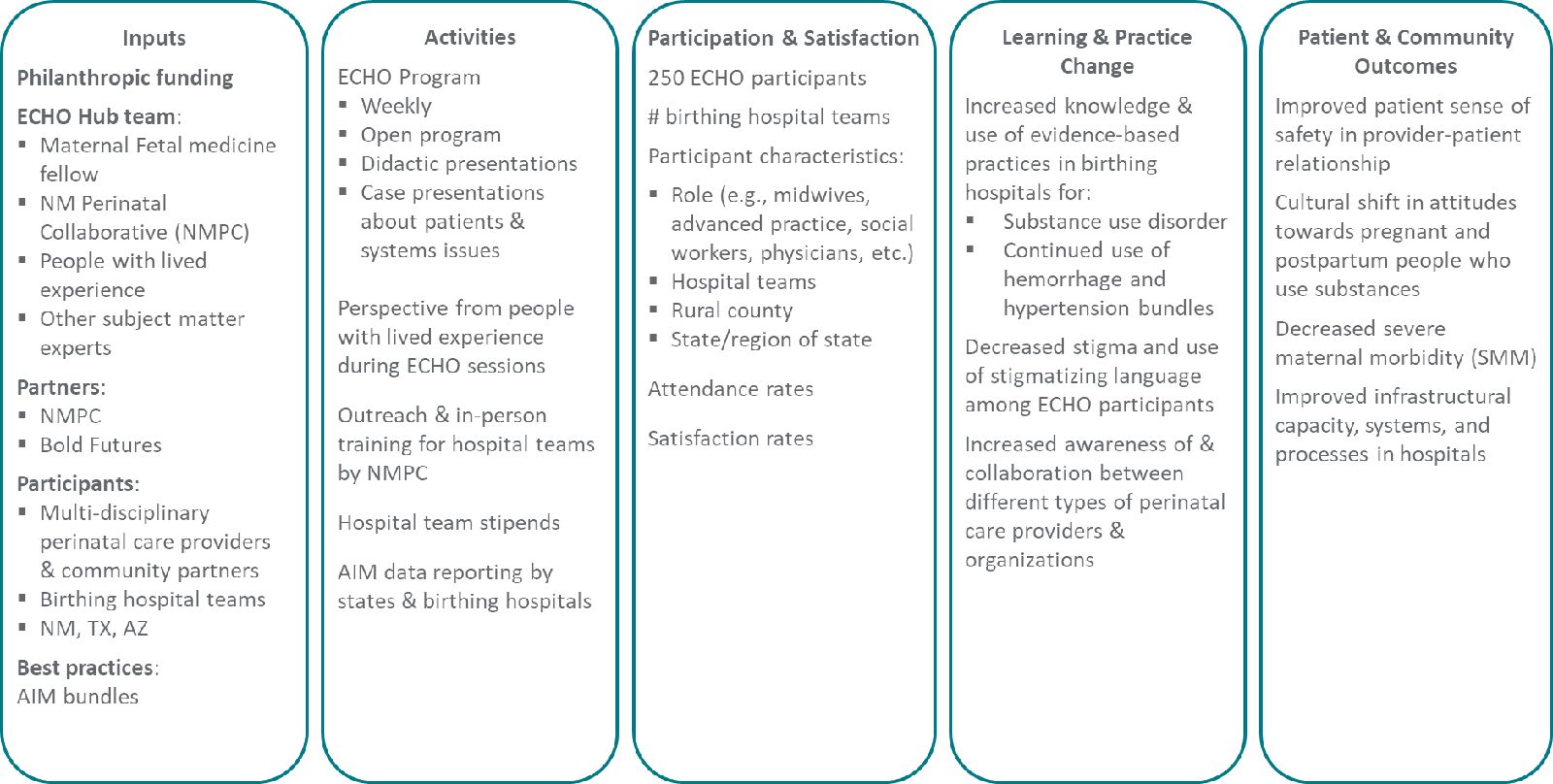 Logic model for the Improving Perinatal Health ECHO.